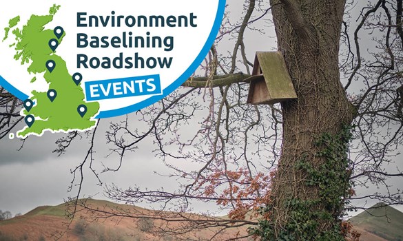 A bird box in a tree.